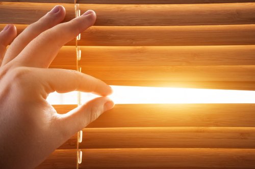 person peeking through blinds